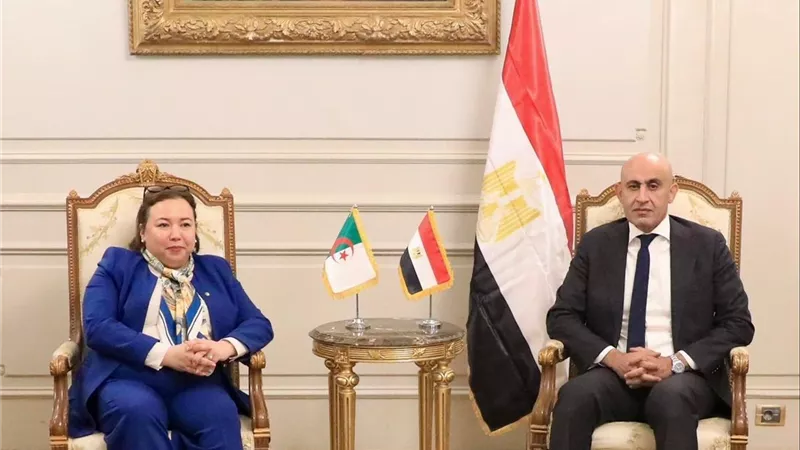 مصر والجزائر تبحثان تعزيز التعاون في التعليم الفني والتدريب المهني