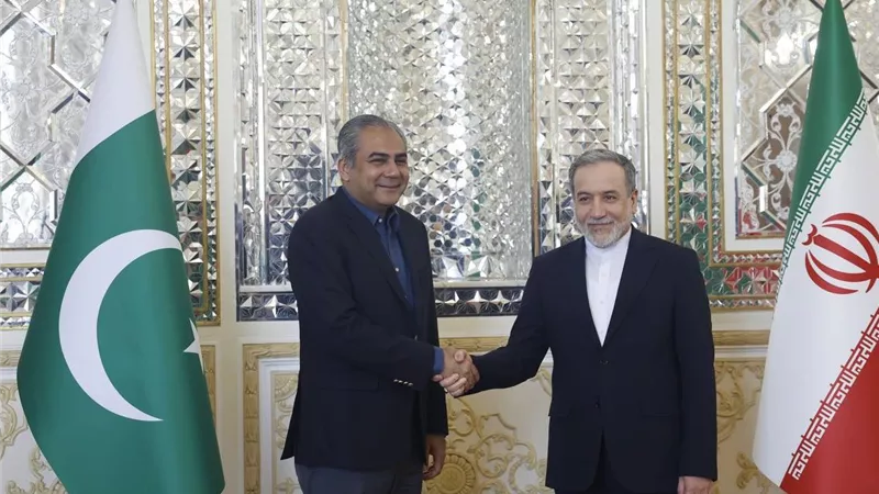 وزير الداخلية الباكستاني يبحث مع عراقجي تعزيز التعاون الثنائي