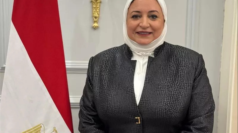 مطالب برلمانية بفتح أسواق تصديرية لاستيعاب فائض إنتاج البيض