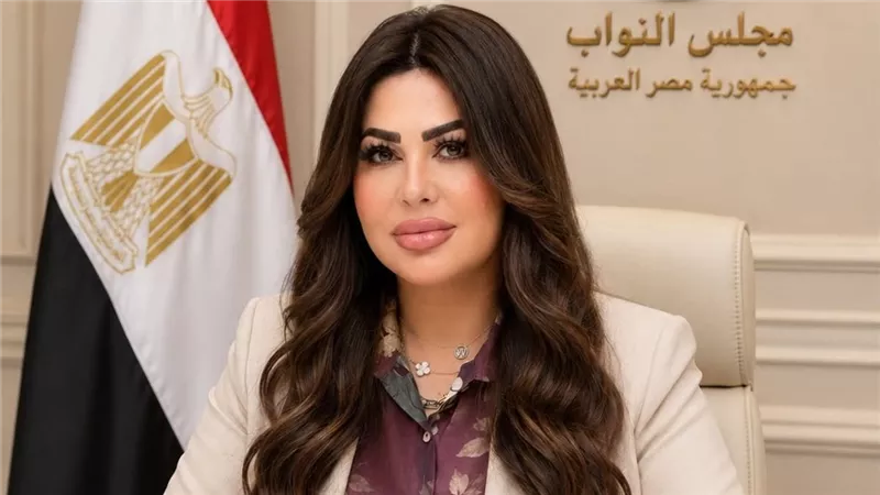مقترح لتشديد الرقابة على شركات الأمن الخاصة ومكافحة الممارسات غير القانوني