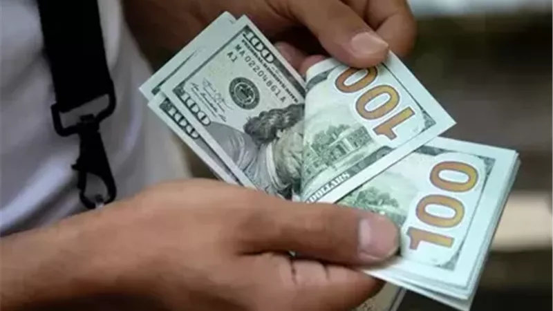 الدولار دون تغيير أمام الجنيه في بداية تعاملات اليوم