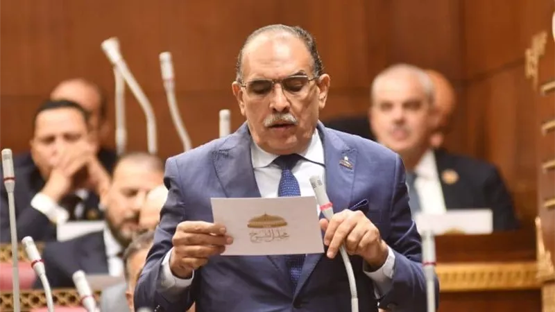 مطالب برلمانية بوقف هجرة الشباب وتوفير مصانع ومزارع بالصعيد