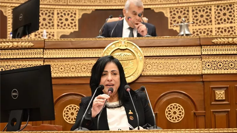 ميرال الهريدي: مصر حجر الزاوية والركيزة الأساسية لصناعة السلام