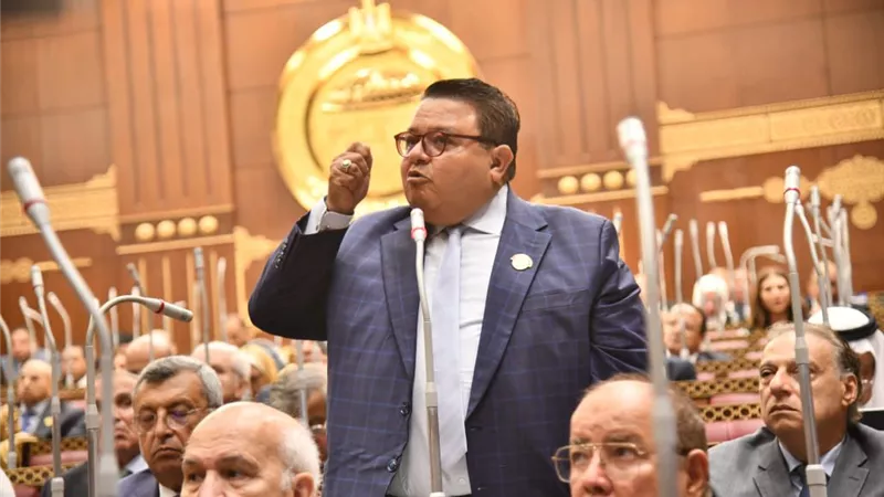خالد جلال تحت قبة الشيوخ: دعم الثقافة لا يقل أهمية عن دعم محطات الكهرباء
