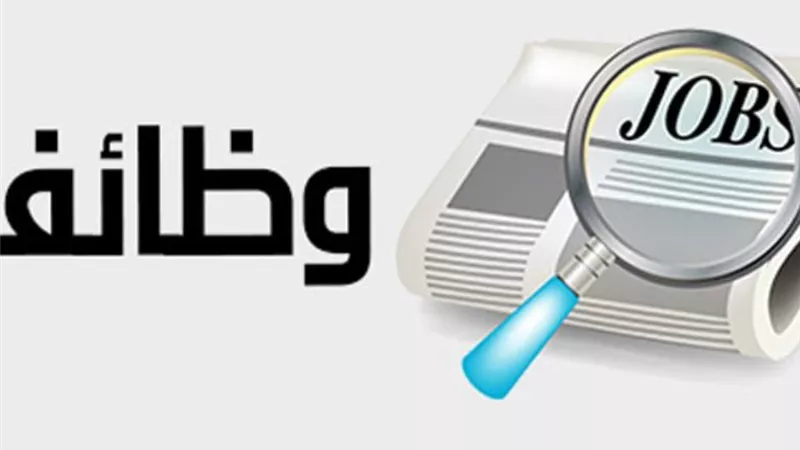 1590 فرصة عمل جديدة في 11 محافظة.. تعرف على التفاصيل وشروط التقديم