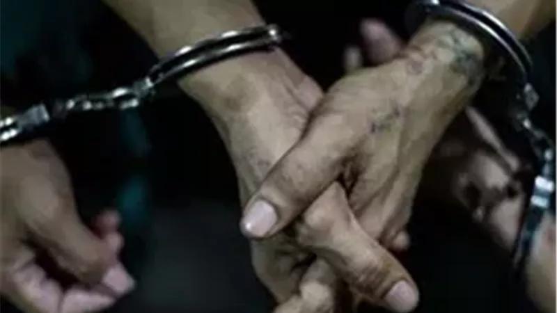 استئناف شقيقين على حكم حبسهما 7 سنوات للاتجار في الترامادول.. تفاصيل