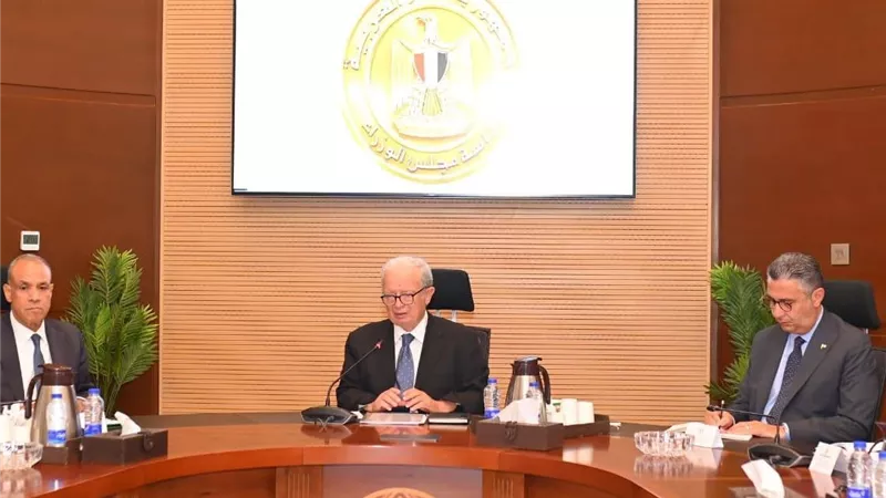 6.7 مليار جنيه تمويلات.. خطة حكومية لدعم المشروعات الصغيرة بمشاركة 34 جهة