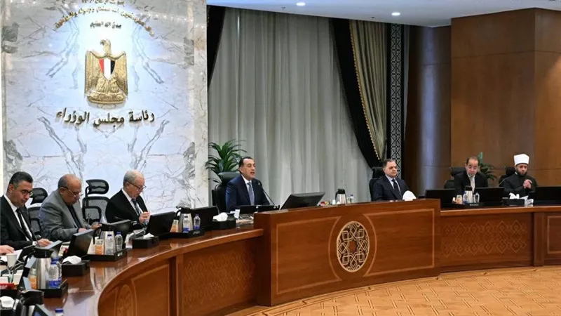 رئيس الوزراء: حققنا رقما تاريخيا في توريد القمح من المزارعين 