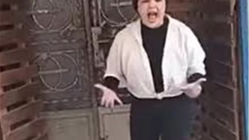 شيماء عبد العال وشقيقتها في قبضة الأمن بسبب نزاع على الميراث.. تفاصيل