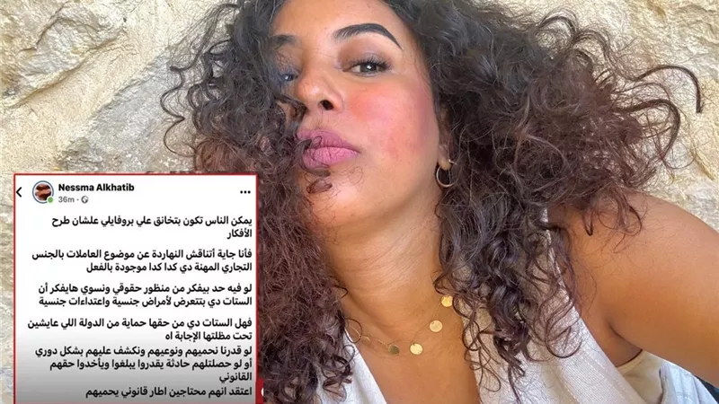 «هنحميهم من إيه؟» نهى الجندي تدعو لمحاكمة صاحبة دعوة تأمين العاملات بالجنس التجارى