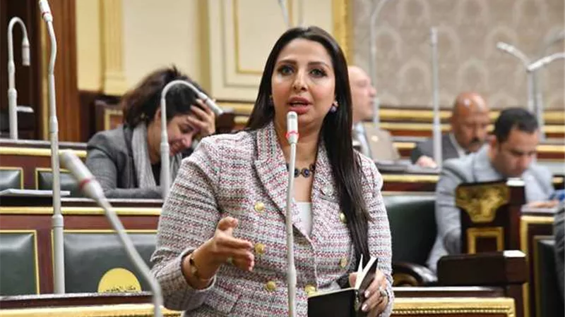 النائبة نشوى الشريف تطالب بتنفيذ قرار تعيين حملة الماجستير والدكتوراه