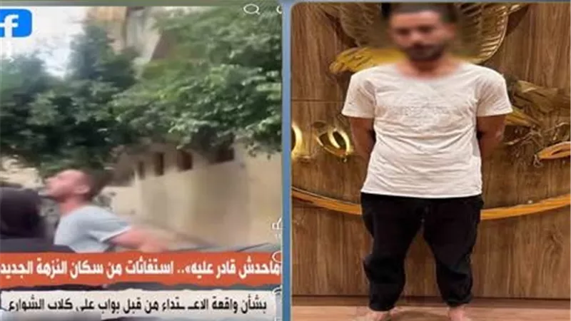 ضبط حارس عقار بعد التعدي على كلاب ضالة في النزهة