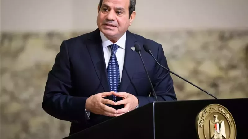الرئيس السيسي يشدد على ضمان أمن الدول العربية واحترام سيادتها  استقبل الرئ