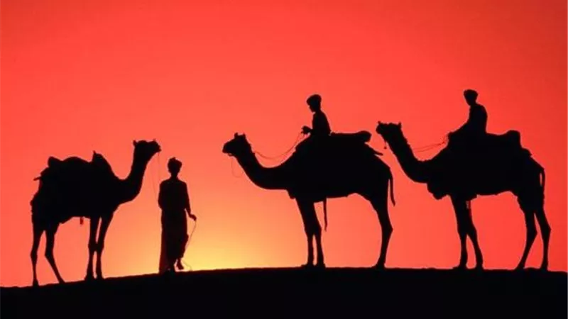 ما الحكمة من الاحتفال بالسنة الهجرية في شهر المحرم؟ الإفتاء تجيب
