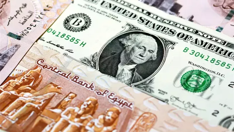 الجنيه يقترب من مكاسب جديدة.. توقعات بهبوط الدولار دون 50 جنيهًا |خاص