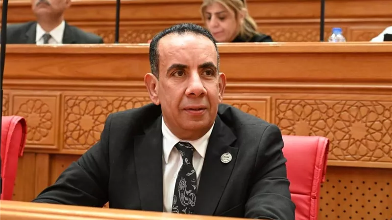 أحمد عرفة يطالب بإلغاء نظام الشرائح في العدادات الكودية للكهرباء