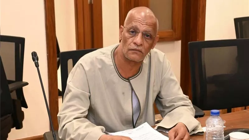 تساؤلات حول مراعاة الطبيعة الصخرية لأراضي أسوان عند تحديد الأسعار والإيجار