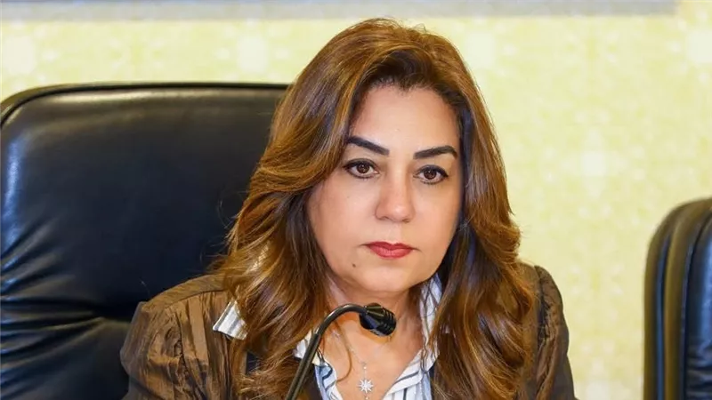 تحرك جديد من التنمية المحلية والبيئة لمواجهة السحابة السوداء  