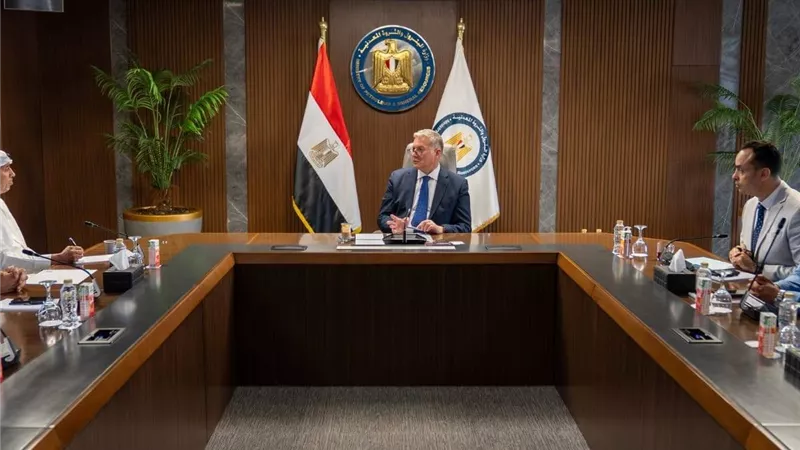 مصر وإينوك الإماراتية تبحثان التوسع في استثمارات البترول والطيران