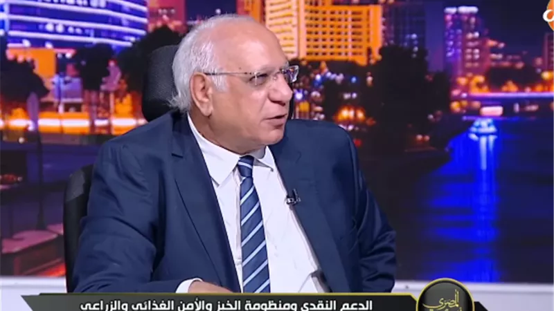 من التقاوي المحلية إلى الاستيراد.. أين اختفى الإنتاج القديم؟