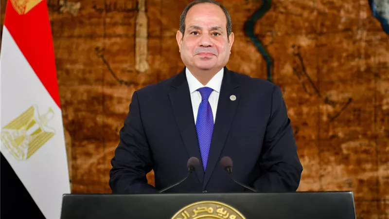 السيسي يؤكد استعداد مصر لبذل الجهد للتوصل إلى حلول مستدامة للقضايا العالقة