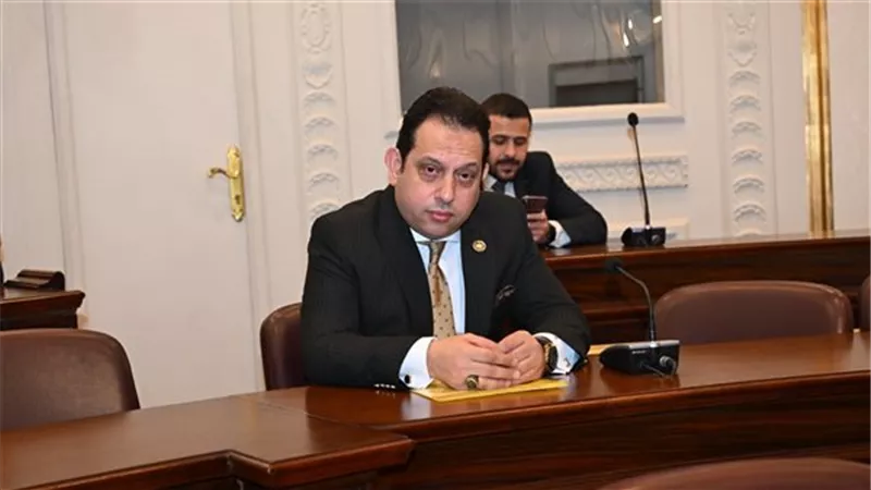 برلماني: مشاركة الرئيس السيسي بقمة السبع تعزز مكانة مصر الدولية