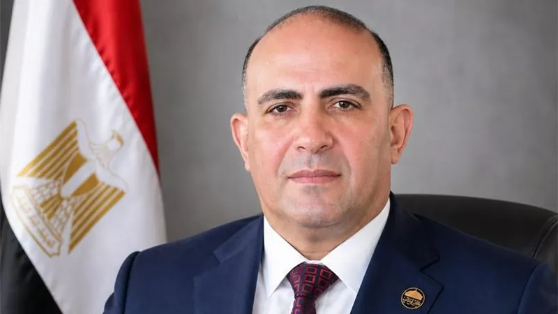 محمد سليم: قمة السبع فرصة ذهبية لجذب الاستثمارات الأجنبية