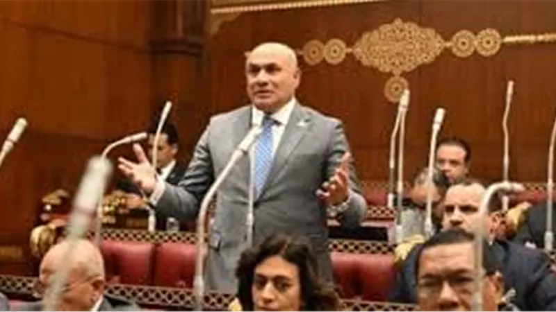 عضو بالشيوخ: مشاركة السيسي في قمة السبع تعكس مكانة مصر الدولية