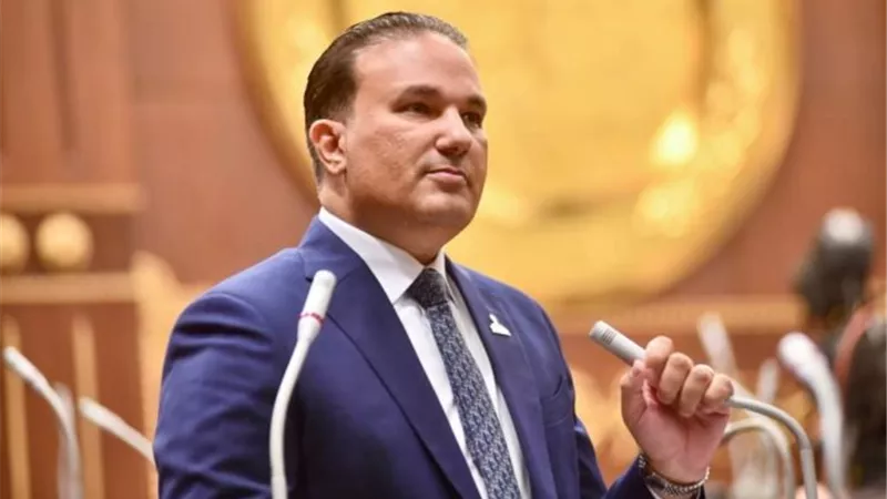 تامر عبد الحميد: مشاركة السيسي بقمة السبع تؤكد مكانة مصر الدولية