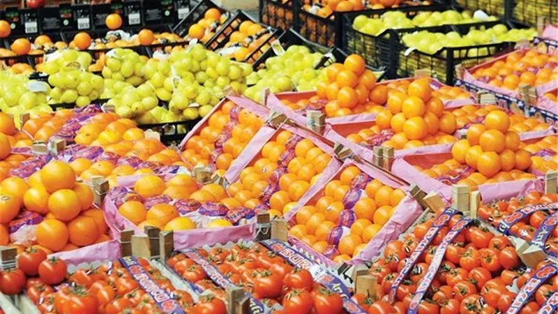  صادرات مصر الغذائية ترتفع إلى 2.4 مليار دولار في 4 أشهر