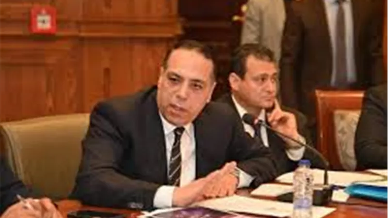 النائب الصافي عبد العال: حماية الأسواق تعزز الأمن الغذائي