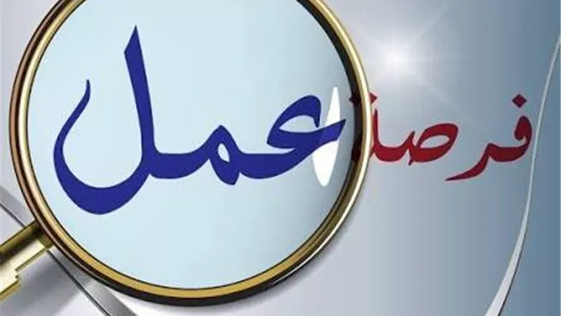 محافظة الجيزة تزف بشرى سارة للشباب.. تعرف عليها 