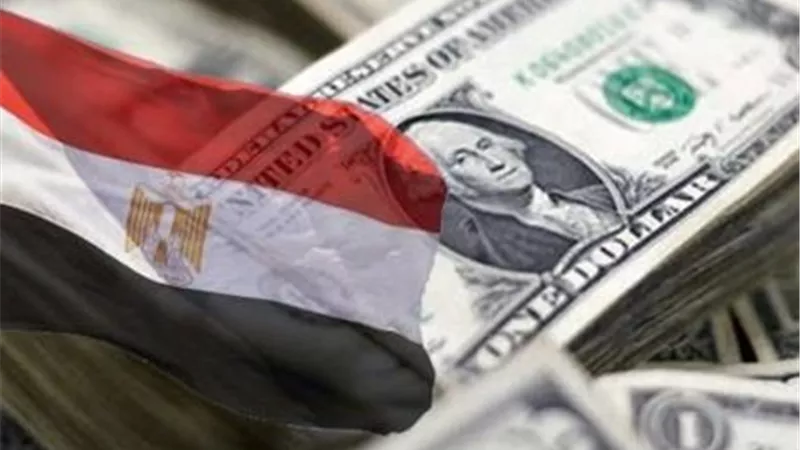خاص|كيف تدير الحكومة الطروحات في النسخة المحدثة من وثيقة ملكية الدولة؟