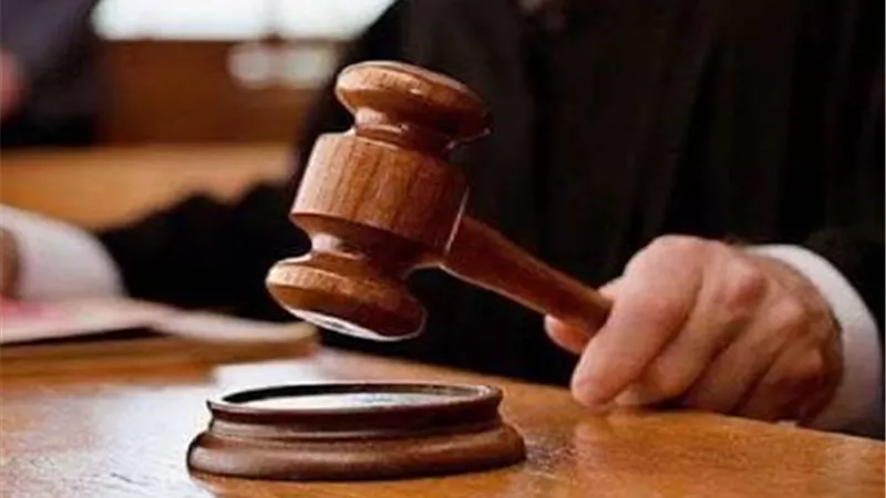 السجن المؤبد للمتهمة بخطف ندى فتاة العباسية.. تفاصيل