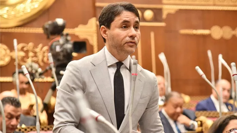 عضو بالشيوخ يطالب بحوافز استثمارية لتوطين صناعة الرقائق الإلكترونية