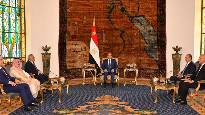 وزير خارجية باكستان يشكر مصر.. ويدعو الرئيس السيسي لزيارة بلاده 