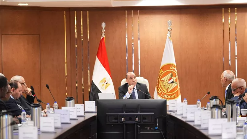العمل: صندوق الطوارىء قدم 2.5 مليار جنيه إعانات للعمال خلال هذه الفترة 