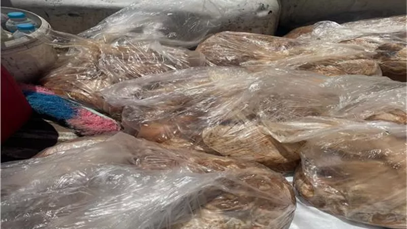 ضبط 103 كيلو شاورما فراخ غير صالحة للاستهلاك الآدمي بدمياط