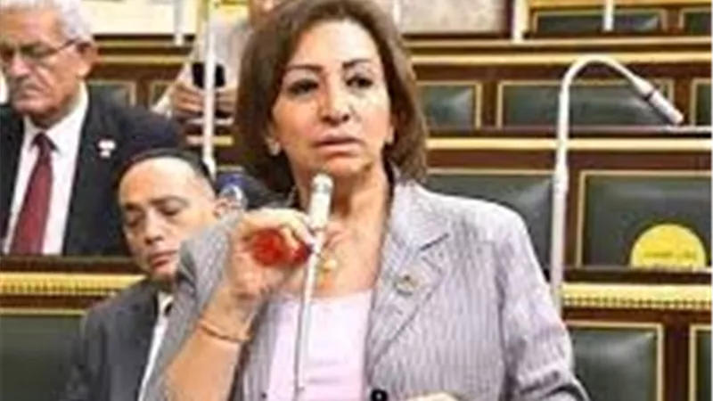 عضو مجلس النواب لـ«إيجبتك»: المادة 105 من قانون الإجراءات الجنائية مخالفة صريحة للدستور
