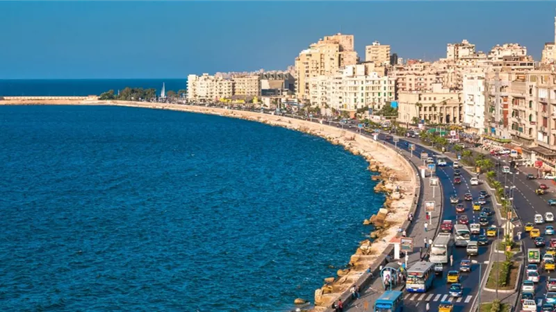 انتخابات النواب 2025.. أسماء مرشحي القائمة الوطنية في محافظة الإسكندرية