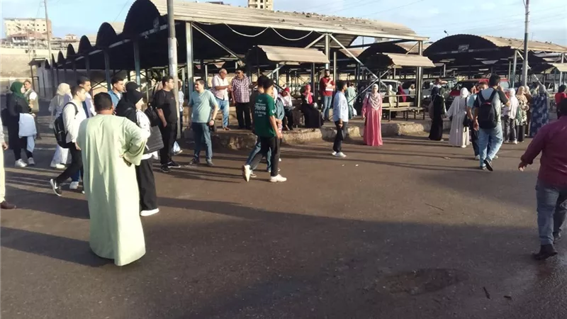 الدفع بـ85 سيارة سرفيس لنقل طلاب جامعة كفر الشيخ مجانًا بموقف دسوق