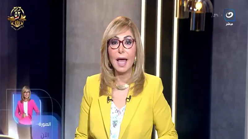 لميس الحديدي: 