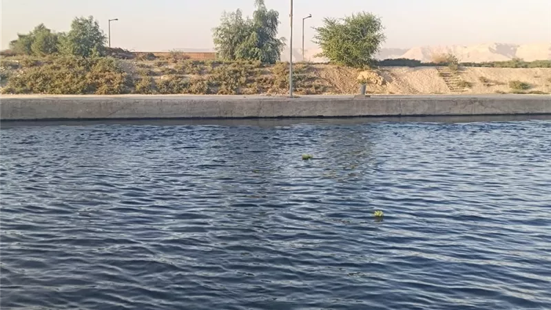 تحذيرات في قنا من غرق جزر وأراضي طرح النهر.. وإجراءات عاجلة ضد المخالفين