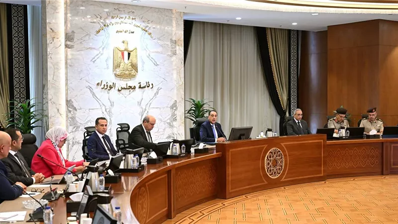 الحكومة توافق على إنشاء جامعة البحر المتوسط بالإسكندرية 