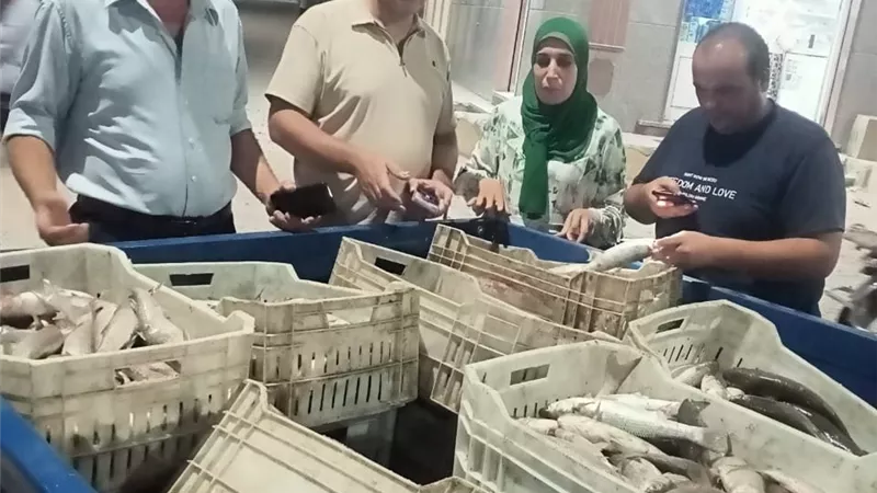 زيت طعام وسكر ونخالة.. تحرير 526 مخالفة تموينية في سوهاج