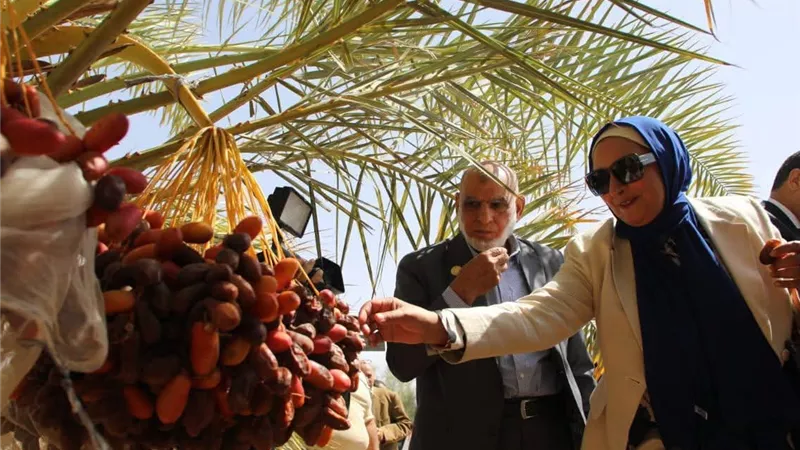 تضم 17 ألف نخلة.. محافظ الوادي الجديد ورؤساء مؤسسات العمل الخيري يتفقدون مزارع النخيل |صور