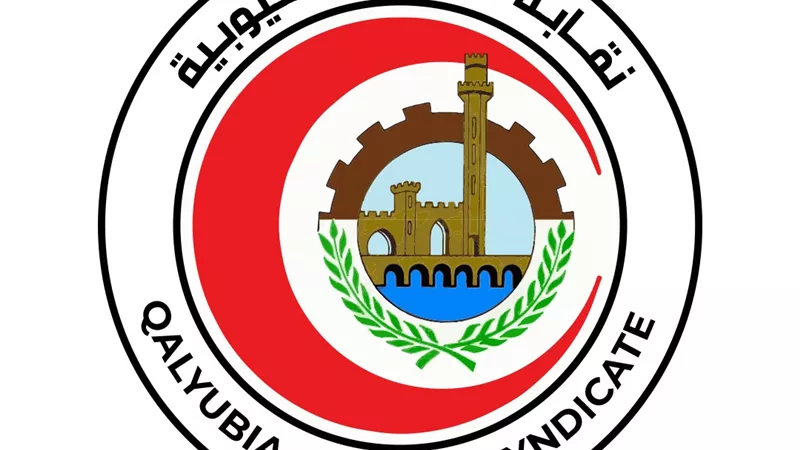 الجمعة.. انتخابات التجديد النصفي لنقابة أطباء القليوبية ببنها