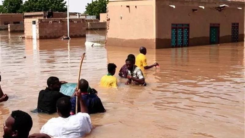  خبير اقتصادي سوداني لـ