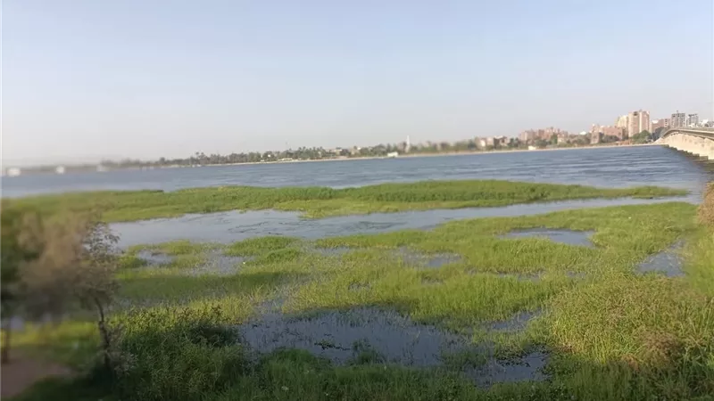 طوارئ في الأقصر وقنا.. استقرار مناسيب مياه النيل وإجراءات رادعة ضد المتعدين