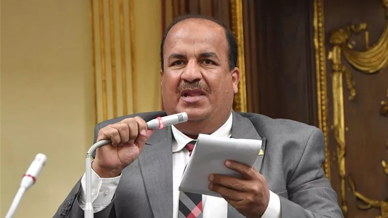 برلماني: قفزة الصادرات تؤكد قدرة مصر على الوصول إلى الـ100 مليار دولار 